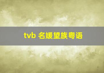 tvb 名媛望族粤语